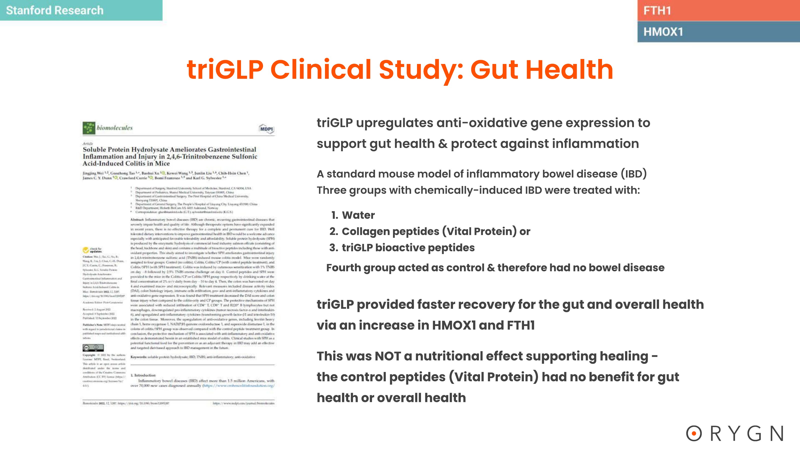 triGLP Studies — page 21 of 23